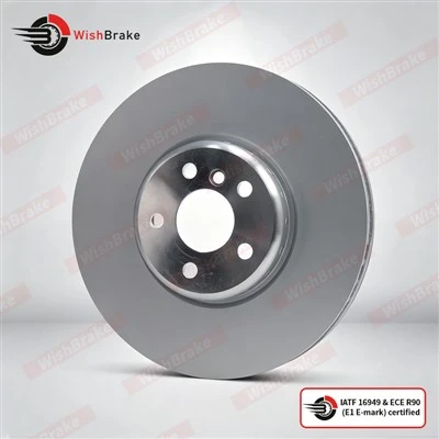 Rear Rotors for G20